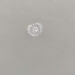 D5CEBD5775FBC3F56E6190A0EF540A63